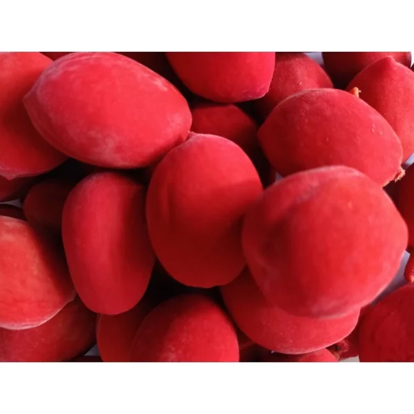 Preserved Red Peach – Wholesale for Repacking